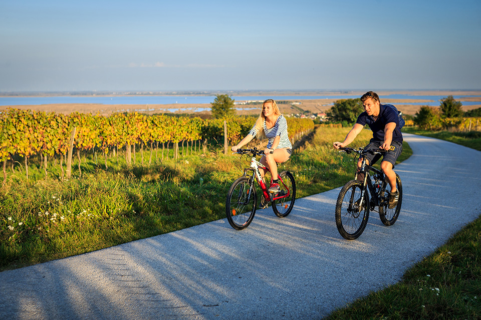 fahrradverleih